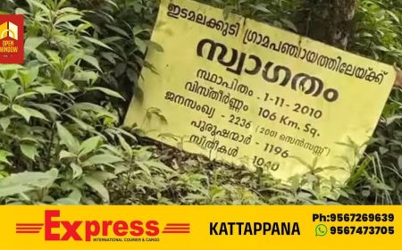 ആരോഗ്യപ്രവർത്തകരുടെ അടിയന്തര ഇടപെടൽ, ഇടമലക്കുടിയിൽ ഗർഭിണിയുടെയും കുഞ്ഞിന്റെയും ജീവൻ രക്ഷിച്ചു