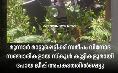 മൂന്നാർ മാട്ടുപ്പെട്ടിക്ക് സമീപം വിനോദ സഞ്ചാരികളായ സ്കൂൾ കുട്ടികളുമായി പോയ ജീപ്പ് അപകടത്തിൽപ്പെട്ടു