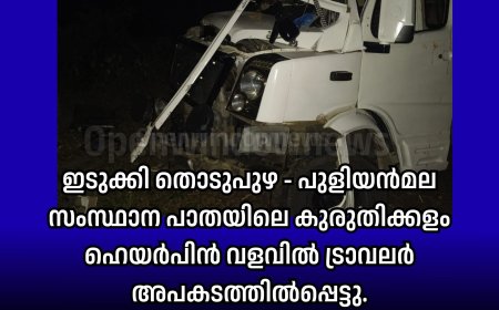 ഇടുക്കി തൊടുപുഴ - പുളിയൻമല സംസ്ഥാന പാതയിലെ കുരുതിക്കളം ഹെയർപിൻ വളവിൽ ട്രാവലർ അപകടത്തിൽപ്പെട്ടു.