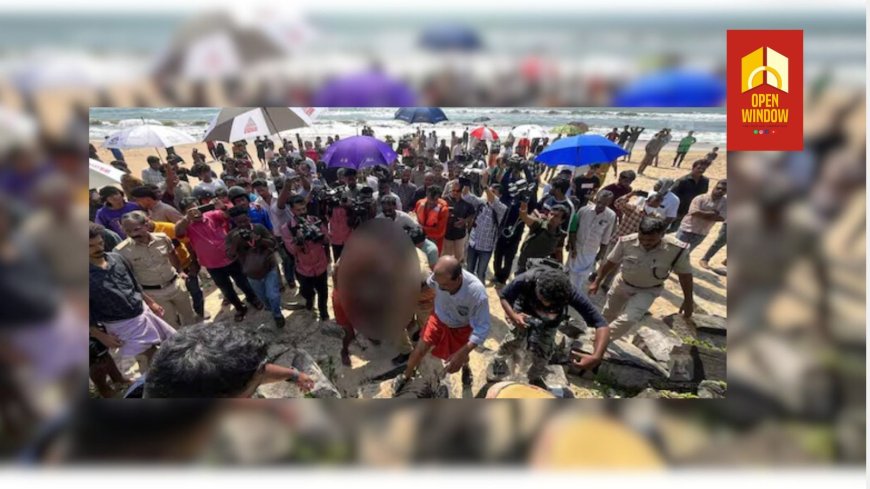 കടലിൽ കുളിക്കുന്നതിനിടെ ഒഴുക്കിൽപ്പെട്ടു; കണ്ണൂരിൽ 3 മെഡിക്കൽ വിദ്യാർഥികൾ മുങ്ങിമരിച്ചു