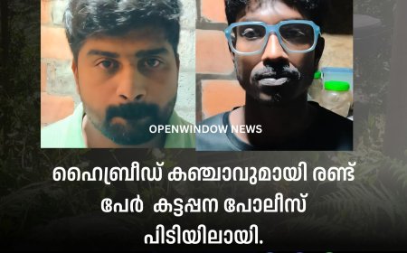 ഹൈബ്രീഡ് കഞ്ചാവുമായി രണ്ട് പേർ  കട്ടപ്പന പോലീസ് പിടിയിലായി