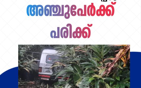 രാമക്കൽമേട്ടിൽ തൊഴിലാളി വാഹനം അപകടത്തിൽപ്പെട്ട് അഞ്ചുപേർക്ക് പരിക്ക്.