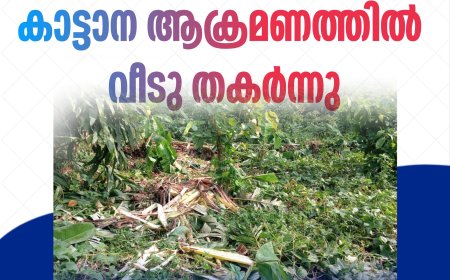 ഇടുക്കി ഉടുമ്പന്നൂര്‍ മലയിഞ്ചിയില്‍ കാട്ടാനയാക്രമണത്തിൽ വീടു തകര്‍ന്നു.