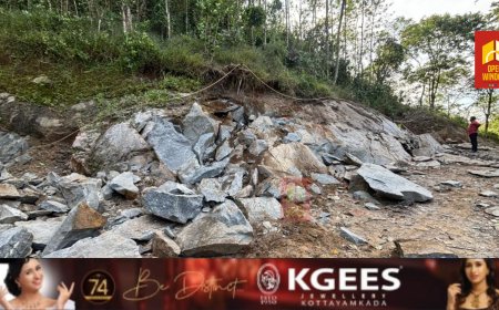 അനധികൃത പാറ ഖനനം സബ് കളക്ടര്‍ നേരിട്ടെത്തി തടഞ്ഞു