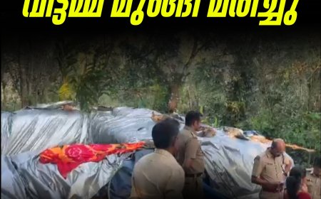 നെടുംകണ്ടം ഇല്ലിപ്പാലത്ത് വീട്ടമ്മ പടുതാകുളത്തിൽ മുങ്ങി മരിച്ചു. 
ഇല്ലിപ്പാലം പടലിങ്കൽ തങ്കമ്മ ആണ് മരിച്ചത്.