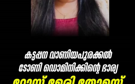 കട്ടപ്പന വാണിയപുരക്കൽ ടോണി ഡൊമിനിക്കിന്റെ ഭാര്യ റോസ് മേരി തോമസ് കാപ്പിൽ ( 30 ) നിര്യാതയായി.
