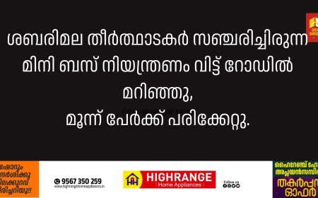 ഇടുക്കി കൊടികുത്തിയിൽ ശബരിമല തീർത്ഥാടകർ സഞ്ചരിച്ചിരുന്ന മിനി ബസ് നിയന്ത്രണം വിട്ട് റോഡിൽ മറിഞ്ഞു