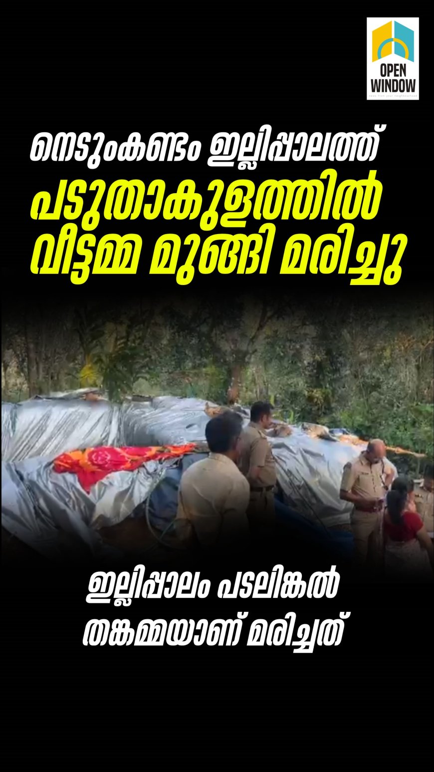 നെടുംകണ്ടം ഇല്ലിപ്പാലത്ത് വീട്ടമ്മ പടുതാകുളത്തിൽ മുങ്ങി മരിച്ചു. 
ഇല്ലിപ്പാലം പടലിങ്കൽ തങ്കമ്മ ആണ് മരിച്ചത്.
