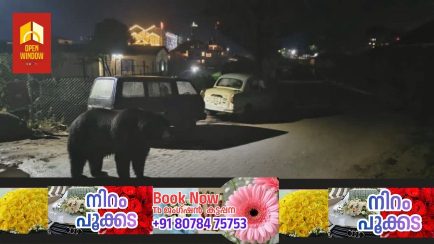 മൂന്നാറിൽ കരടി ഇറങ്ങിയെന്ന് പ്രചാരണം; യാഥാർത്ഥ്യം എന്ത് ?