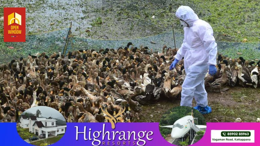 പക്ഷിപ്പനി: ആശങ്ക വേണ്ട, ജാഗ്രതപാലിക്കാം