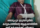 തൊടുപുഴ ഉടുമ്പന്നൂരിൽ കാട്ടുപോത്തിന്റെ ആക്രമണത്തിൽ രണ്ട് കർഷകർക്ക് പരിക്കേറ്റു. ഉടുമ്പന്നൂർ ഒലിവിരിപ്പിൽ ടാപ്പിങ്ങിനായി പോയ കൂവക്കാട്ടിൽ മുരളി, മഞ്ചിക്കല്ല് പുരയിടത്തിൽ സാബു എന്നിവർക്കാണ് പരിക്കേറ്റത്.