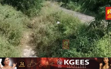 ജലക്ഷാമത്തിനിടയിലും അനാസ്ഥ ; അടൂരിലെ കെ.ഐ.പി കനാല്‍ വൃത്തിയാക്കി തുറന്ന് കൊടുക്കാതെ അധികൃതര്‍