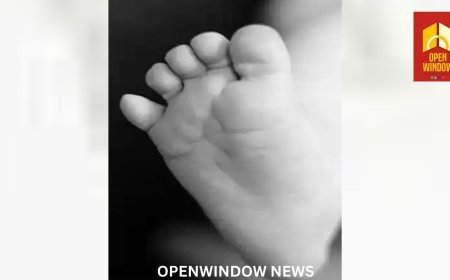 പേരാമംഗലം: ഓട്ടോ മറിഞ്ഞ് പരിക്കേറ്റ ഒരുവയസ്സുകാരി പിറന്നാള്‍ത്തലേന്ന് മരിച്ചു. റോഡരികിലെ മണ്‍കൂനയില്‍ ഓട്ടോ കയറിയാണ് അപകടമുണ്ടായത്.