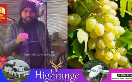 മുന്തിരിക്കച്ചവടക്കാര്‍ക്ക് കോളടിച്ചു, വെറും കയ്യോടെ മടങ്ങേണ്ടി വന്നത് അനേകങ്ങള്‍, ട്രെൻഡുകളുടെ ഒരു പവറേ!