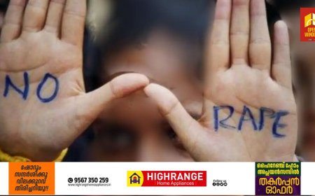 പൊതുപ്രവര്‍ത്തകയ്ക്ക് ഭക്ഷണത്തില്‍ ലഹരി കലര്‍ത്തി നല്‍കി പീഡിപ്പിച്ച കേസില്‍ പ്രതി പിടിയില്‍