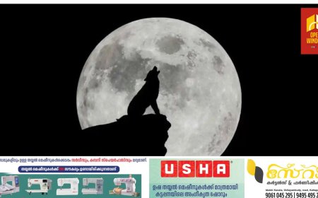 ആകാശത്ത് ഇന്ന് വിസ്മയക്കാഴ്ച; 2026 -ലെ ആദ്യ 'വുള്‍ഫ് സൂപ്പര്‍ മൂണ്‍', ചന്ദ്രൻ ഭൂമിയോട് കൂടുതല്‍ അടുത്ത്!