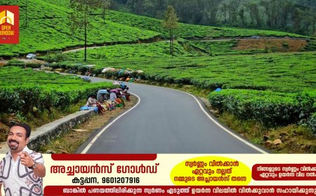 മലയോര ഹൈവേ നാലാം ഘട്ടം;കട്ടപ്പന പുളിയന്മല റോഡ് നിർമ്മാണത്തിന് 48.41 കോടിയുടെ ധനാനുമതി നൽകിയതായി മന്ത്രി റോഷി അഗസ്റ്റിൻ