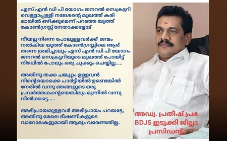 എസ് എൻ ഡി പി യോഗം ജനറൽ സെക്രട്ടറി വെള്ളാപ്പള്ളി നടേശന്റെ മുഖത്ത് കരി ഓയിൽ ഒഴിക്കുമെന്ന് പറഞ്ഞ യൂത്ത് കോൺഗ്രസ്സ് നേതാക്കൾക്ക് കടുത്ത മറുപടിയുമായി ബി ഡി ജെ എസ് ഇടുക്കി ജില്ലാ പ്രസിഡന്റ്‌ അഡ്വ. പ്രതീഷ് പ്രഭ