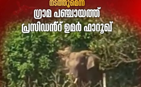 ഏലപ്പാറ ടൗണിന് സമീപം ഗാന്ധിനഗർ കോളനിക്ക് സമീപം  എത്തിയ കാട്ടാനയെ കണ്ടെത്താൻ ആവശ്യമെങ്കിൽ ഡ്രോൺ പരിശോധന നടത്തുമെന്ന് ഗ്രാമ പഞ്ചായത്ത് പ്രസിഡൻ്റ് ഉമർ ഫാറൂഖ്.