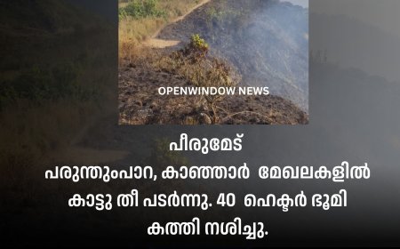 പീരുമേട് 
പരുന്തുംപാറ, കാഞ്ഞാർ  മേഖലകളിൽ കാട്ടു തീ പടർന്നു. 40  ഹെക്ടർ ഭൂമി കത്തി നശിച്ചു.