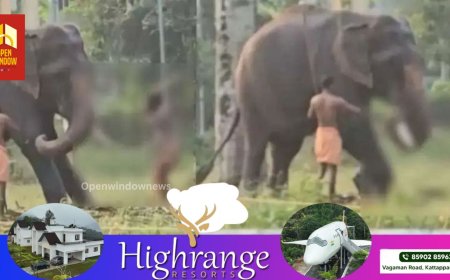 കുഞ്ഞിനെ കൊമ്ബിലിരുത്തിയുള്ള സാഹസത്തിന് തൊട്ടുമുന്‍പ് ആനയെ ക്രൂരമായി മര്‍ദിച്ച്‌ പാപ്പാന്‍; ദൃശ്യം പുറത്ത്