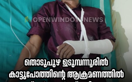 തൊടുപുഴ ഉടുമ്പന്നൂരിൽ കാട്ടുപോത്തിന്റെ ആക്രമണത്തിൽ രണ്ട് കർഷകർക്ക് പരിക്കേറ്റു. ഉടുമ്പന്നൂർ ഒലിവിരിപ്പിൽ ടാപ്പിങ്ങിനായി പോയ കൂവക്കാട്ടിൽ മുരളി, മഞ്ചിക്കല്ല് പുരയിടത്തിൽ സാബു എന്നിവർക്കാണ് പരിക്കേറ്റത്.