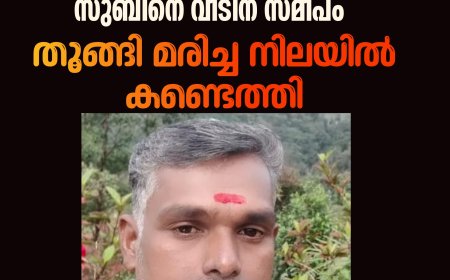 ഉപ്പുതറയിൽ തലയ്ക്കടിയേറ്റ് മരിച്ച  രജനിയുടെ ഭർത്താവ് സുബിനെ വീടിന് സമീപം തൂങ്ങി മരിച്ച നിലയിൽ കണ്ടെത്തി.