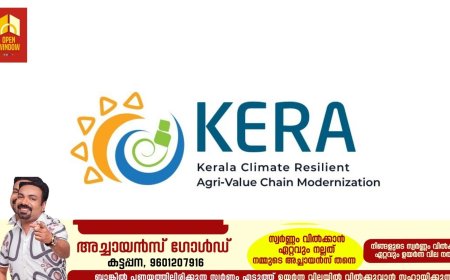 കേര പദ്ധതി:ഇടുക്കിയിലെ ഏലം കർഷകർക്ക് പുനർനടീലിനു ധനസഹായം