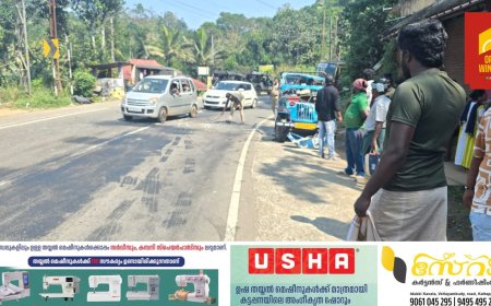 കുമളി ചോറ്റുപാറയ്ക്ക് സമീപം ടൂറിസ്റ്റ് ജീപ്പ് മറിഞ്ഞുണ്ടായ അപകടത്തിൽ ആറ് പേർക്ക് പരിക്കേറ്റു. ശിവകാശി, ചെന്നൈ, തിരുപ്പൂർ സ്വദേശികൾക്കാണ് അപകടം സംഭവിച്ചത്.