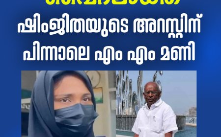 'ഇപ്പോഴാണ് ശരിക്കും വൈറലായത്': ഷിംജിതയുടെ അറസ്റ്റിന് പിന്നാലെ എം എം മണി
