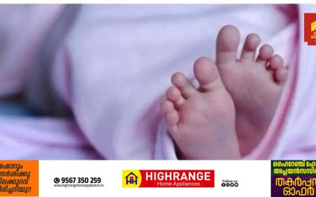 10 മാസം പ്രായമുള്ള കുട്ടിയുടെ ശരീരത്തില്‍ 600 ഓളം സൂചി കുത്തിയ പാടുകള്‍; പിന്നാലെ അമ്മ അറസ്റ്റില്‍