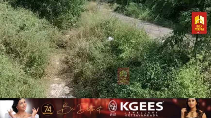 ജലക്ഷാമത്തിനിടയിലും അനാസ്ഥ ; അടൂരിലെ കെ.ഐ.പി കനാല്‍ വൃത്തിയാക്കി തുറന്ന് കൊടുക്കാതെ അധികൃതര്‍