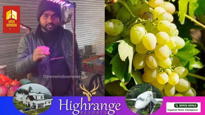 മുന്തിരിക്കച്ചവടക്കാര്‍ക്ക് കോളടിച്ചു, വെറും കയ്യോടെ മടങ്ങേണ്ടി വന്നത് അനേകങ്ങള്‍, ട്രെൻഡുകളുടെ ഒരു പവറേ!