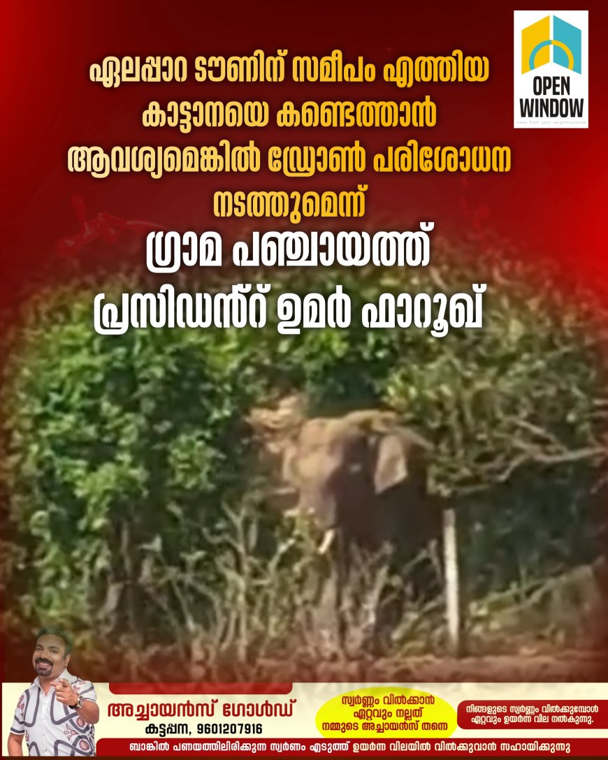 ഏലപ്പാറ ടൗണിന് സമീപം ഗാന്ധിനഗർ കോളനിക്ക് സമീപം  എത്തിയ കാട്ടാനയെ കണ്ടെത്താൻ ആവശ്യമെങ്കിൽ ഡ്രോൺ പരിശോധന നടത്തുമെന്ന് ഗ്രാമ പഞ്ചായത്ത് പ്രസിഡൻ്റ് ഉമർ ഫാറൂഖ്.