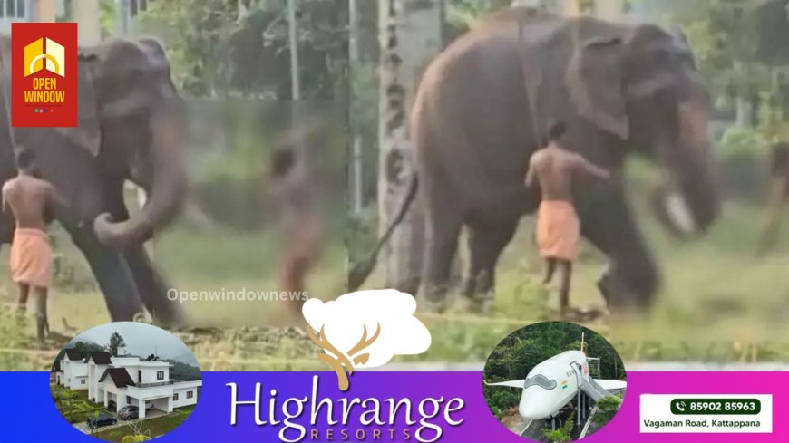 കുഞ്ഞിനെ കൊമ്ബിലിരുത്തിയുള്ള സാഹസത്തിന് തൊട്ടുമുന്‍പ് ആനയെ ക്രൂരമായി മര്‍ദിച്ച്‌ പാപ്പാന്‍; ദൃശ്യം പുറത്ത്