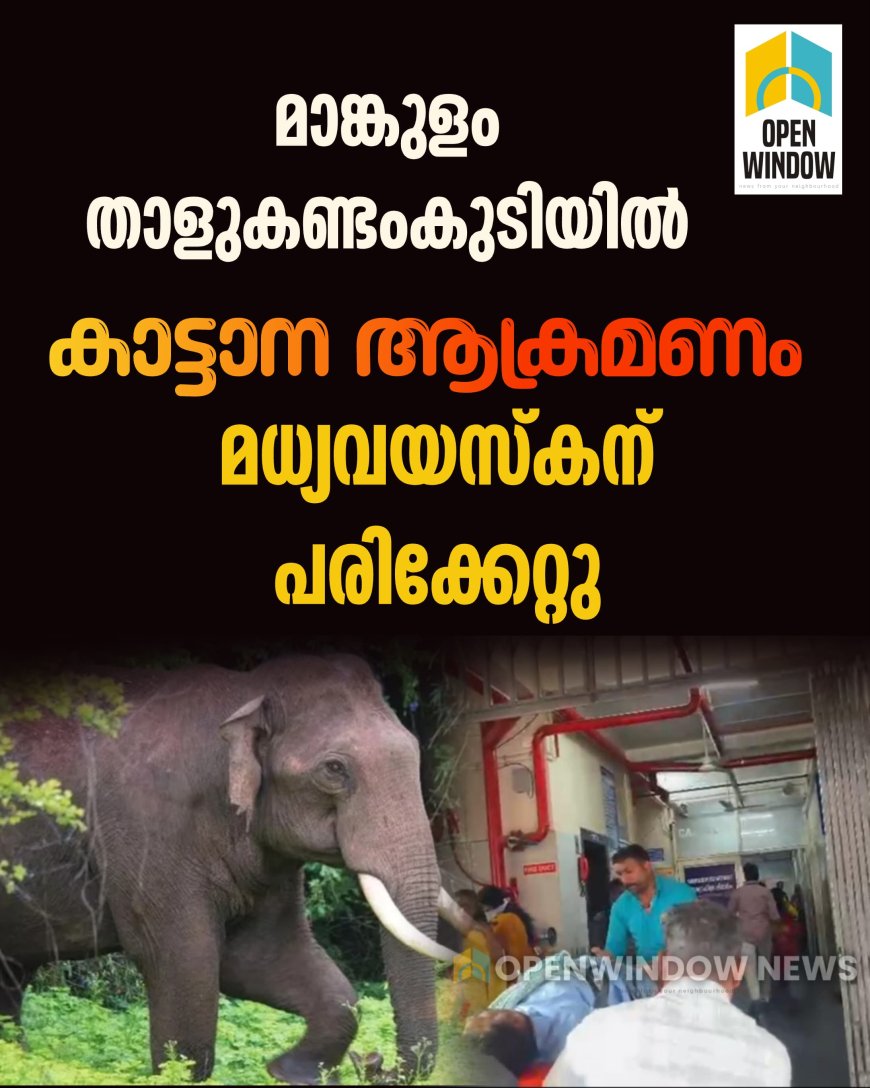 ഇടുക്കി മാങ്കുളം താളുകണ്ടംകുടിയില്‍ കാട്ടാനയുടെ ആക്രമണത്തില്‍ മധ്യവയസ്‌കന് പരിക്കേറ്റു. താളുകണ്ടംകുടി സ്വദേശി സതീശന്‍ പി.കെ യ്ക്കാണ് പരിക്കേറ്റത്.