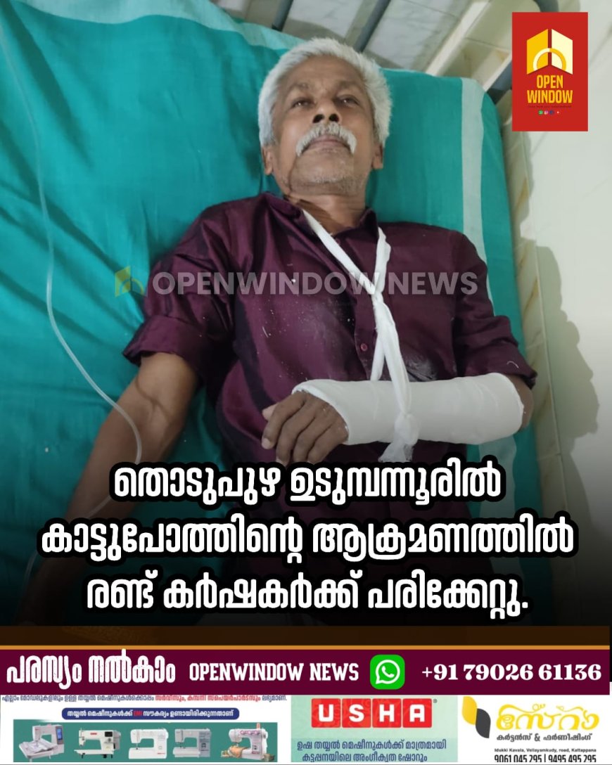 തൊടുപുഴ ഉടുമ്പന്നൂരിൽ കാട്ടുപോത്തിന്റെ ആക്രമണത്തിൽ രണ്ട് കർഷകർക്ക് പരിക്കേറ്റു. ഉടുമ്പന്നൂർ ഒലിവിരിപ്പിൽ ടാപ്പിങ്ങിനായി പോയ കൂവക്കാട്ടിൽ മുരളി, മഞ്ചിക്കല്ല് പുരയിടത്തിൽ സാബു എന്നിവർക്കാണ് പരിക്കേറ്റത്.