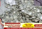 എരുമേലിയില്‍ അരക്കോടിയിലധികം രൂപയുടെ കള്ളപ്പണവുമായി ഒരാള്‍ പിടിയിൽ