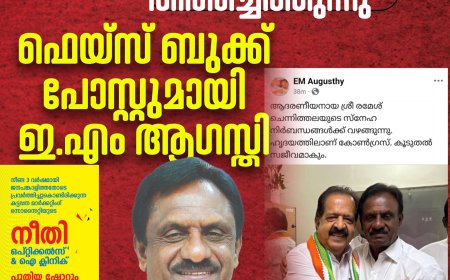 സജീവ രാഷ്ട്രീയത്തിലേക്ക് തിരിച്ചെത്തുന്നു;
ഫെയ്സ് ബുക്ക് പോസ്റ്റുമായി
ഇ.എം ആഗസ്തി