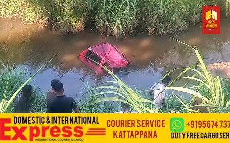 ഇരട്ടയാർ നാലുമുക്ക് റോഡിൽ കറ്റ്യാമലക്ക് സമീപം കാർ നിയന്ത്രണം നഷ്ടമായി റോഡിന് താഴ് വശത്തെ തോട്ടിലേക്ക് മറിഞ്ഞ് അപകടം.