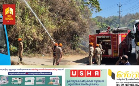 ഇടുക്കി ജില്ലാ ആസ്ഥാനത്ത് വാഴത്തോപ്പിന് സമീപം കാട്ടുതീ പടർന്ന് വൻ നാശം.രണ്ട് ഹെക്ടറോളം സ്ഥലത്ത് തീ പടർന്നുപിടിച്ചു.