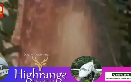 കോഴിക്കോട് ഒളവണ്ണയില്‍ പൂച്ചയെ മാവില്‍ കെട്ടിത്തൂക്കി കൊന്ന നിലയില്‍; പോലീസ് അന്വേഷണം ആരംഭിച്ചു