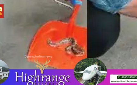 തളിപ്പറമ്പിലെ മൊബൈല്‍ ഷോപ്പില്‍ അപ്രതീക്ഷിത അതിഥി ; സ്ക്രീൻ കാര്‍ഡിന്റെ പശയില്‍ കുടുങ്ങി അണലി , മണിക്കൂറുകള്‍ നീണ്ട പരിശ്രമത്തിനൊടുവില്‍ പുറത്തെടുത്ത് വനംവകുപ്പിന്റെ റെസ്ക്യൂവര്‍