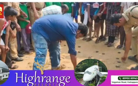 പുതുവത്സരത്തില്‍ 117 മുട്ടകള്‍ ലഭിച്ചു, 90 എണ്ണവും വിരിഞ്ഞിറഞ്ഞി; കടലാമ സംരക്ഷണ സമിതി സംരക്ഷിച്ചിരുന്ന ആദ്യ കടലാമക്കൂട് വിരിഞ്ഞു