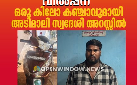 സ്‌കൂട്ടറിൽ കഞ്ചാവ് വിൽപ്പന; ഒരു കിലോ കഞ്ചാവുമായി  അടിമാലി സ്വദേശി അറസ്റ്റിൽ