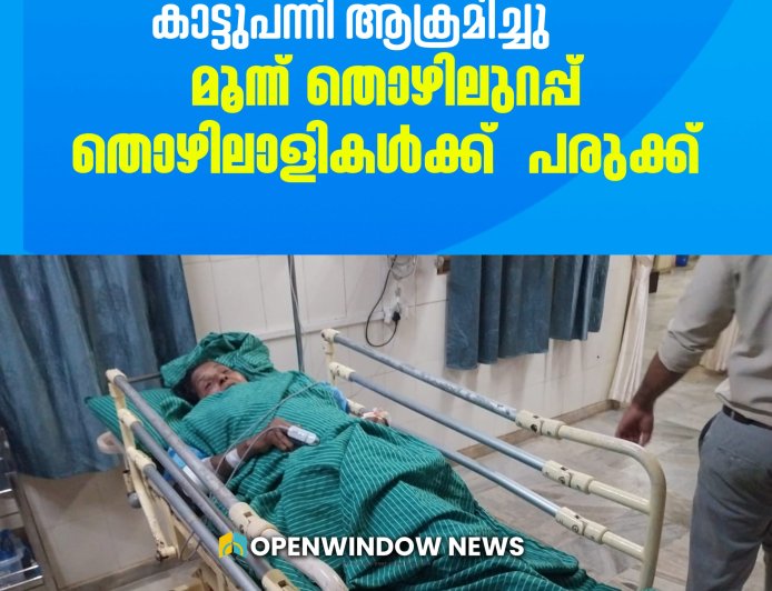 നെടുംകണ്ടം വലിയതോവാളയിൽ
വനംവകുപ്പ് രക്ഷപെടുത്തിയ കാട്ടുപന്നി ആക്രമിച്ചു; മൂന്ന് തൊഴിലുറപ്പ് തൊഴിലാളികൾക്ക്  പരുക്ക്