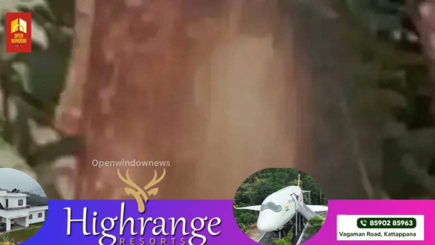 കോഴിക്കോട് ഒളവണ്ണയില്‍ പൂച്ചയെ മാവില്‍ കെട്ടിത്തൂക്കി കൊന്ന നിലയില്‍; പോലീസ് അന്വേഷണം ആരംഭിച്ചു