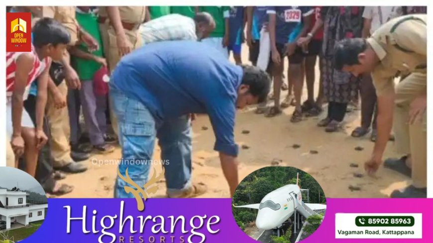 പുതുവത്സരത്തില്‍ 117 മുട്ടകള്‍ ലഭിച്ചു, 90 എണ്ണവും വിരിഞ്ഞിറഞ്ഞി; കടലാമ സംരക്ഷണ സമിതി സംരക്ഷിച്ചിരുന്ന ആദ്യ കടലാമക്കൂട് വിരിഞ്ഞു