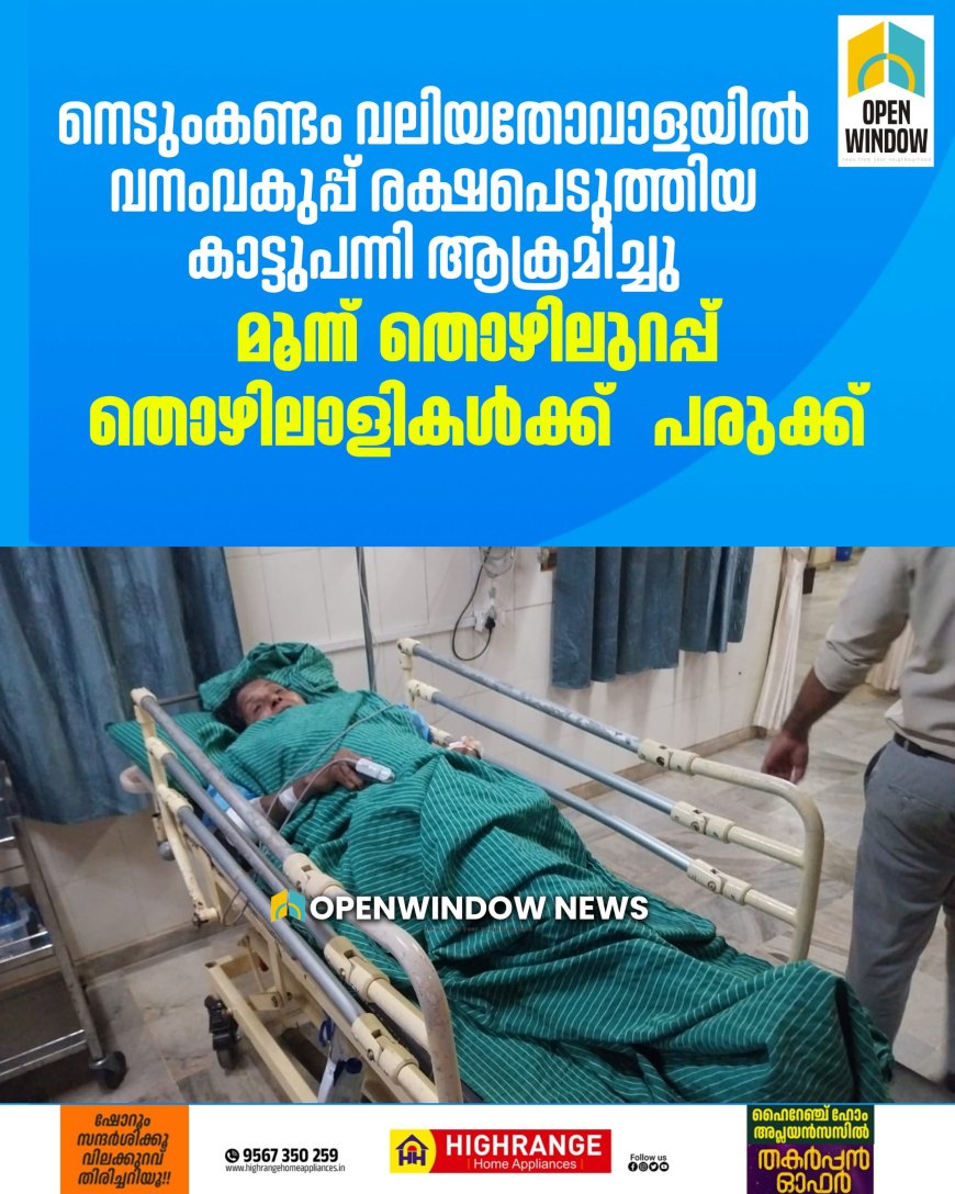 നെടുംകണ്ടം വലിയതോവാളയിൽ
വനംവകുപ്പ് രക്ഷപെടുത്തിയ കാട്ടുപന്നി ആക്രമിച്ചു; മൂന്ന് തൊഴിലുറപ്പ് തൊഴിലാളികൾക്ക്  പരുക്ക്