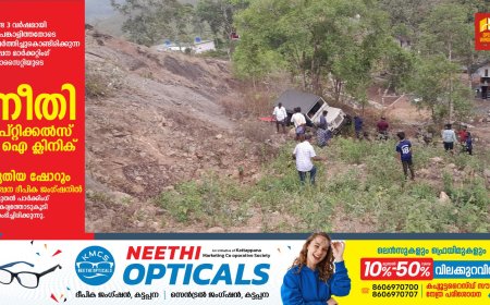 വാഗമണ്ണിൽ ഓഫ്‌റോഡ് ജീപ്പ് മറിഞ്ഞ് എട്ടുപേർക്ക് പരിക്ക്